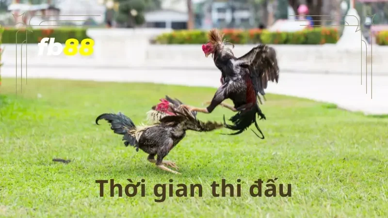 Thời gian thi đấu sẽ dao động từ 10 cho đến 15 phút