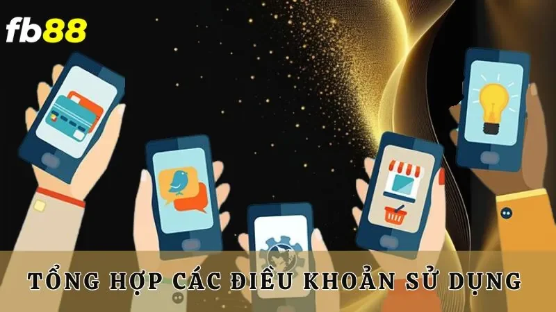 Tổng hợp các điều khoản mới nhất của nhà cái