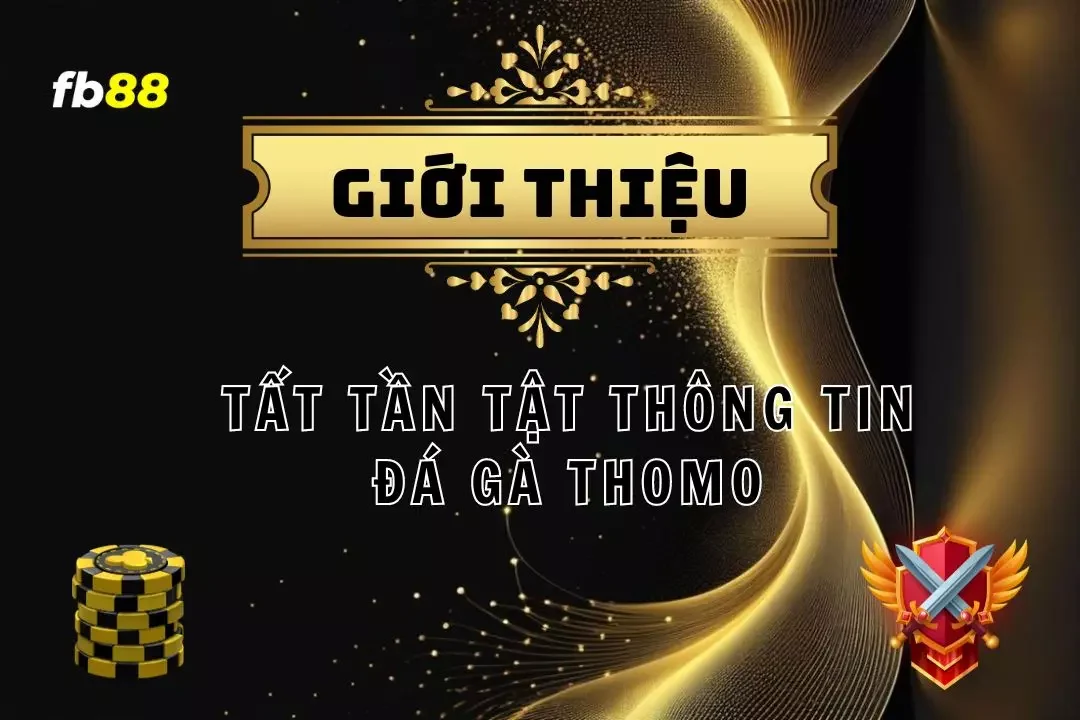  Đá Gà Thomo - Lịch Sử, Luật Chơi và Những Điều Bạn Cần Biết