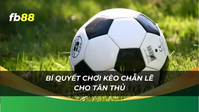 nắm rõ cách chơi kèo để giành thắng lợi